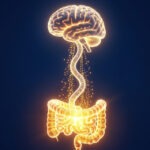 Невидимые ниточки: путь серотонина и настроения